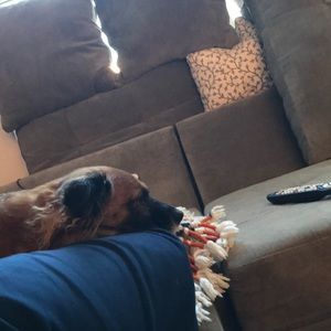 Meet your Posher, Mike